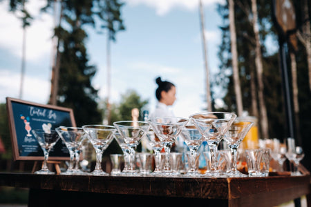 Bar and Beverage Servers