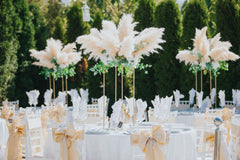 Feathers