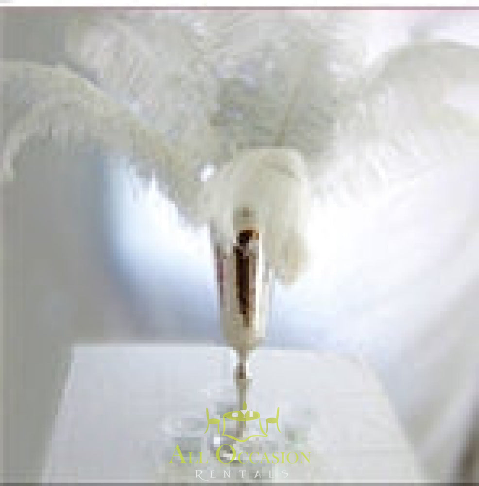 Elegant Feathers Centerpieces for event rentals in Corona, perfect for weddings and upscale parties.