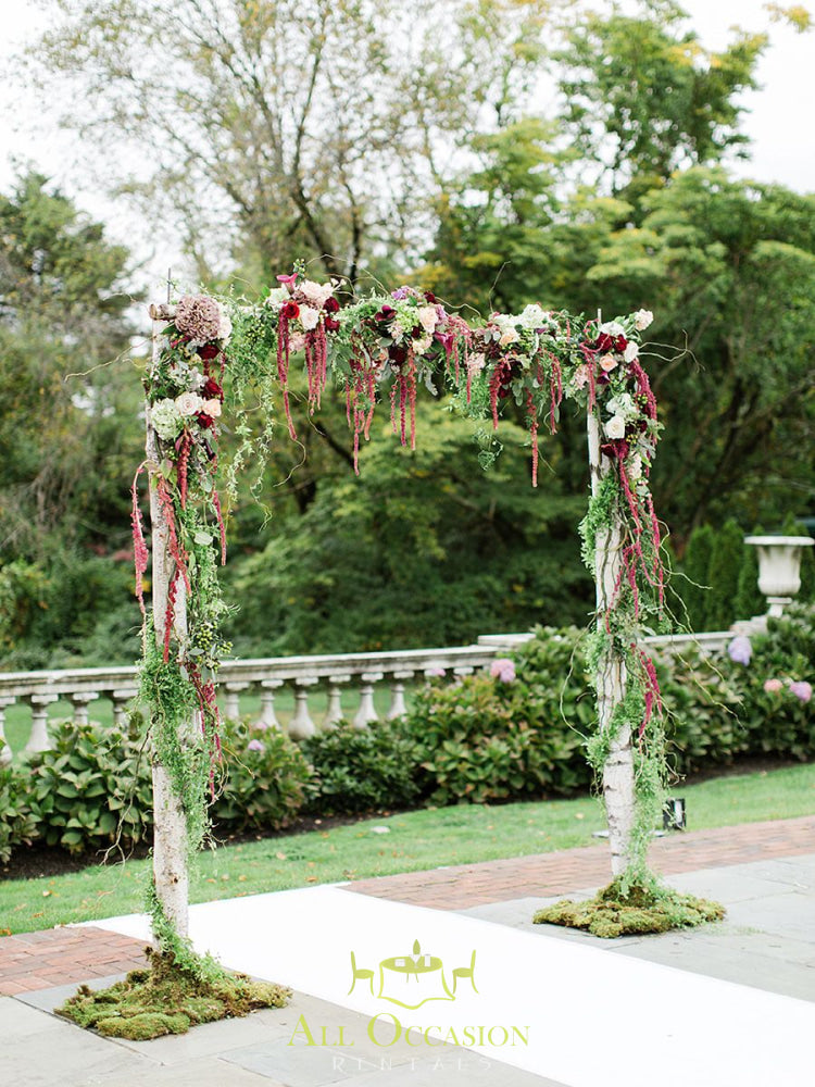 Birch wood arch.
