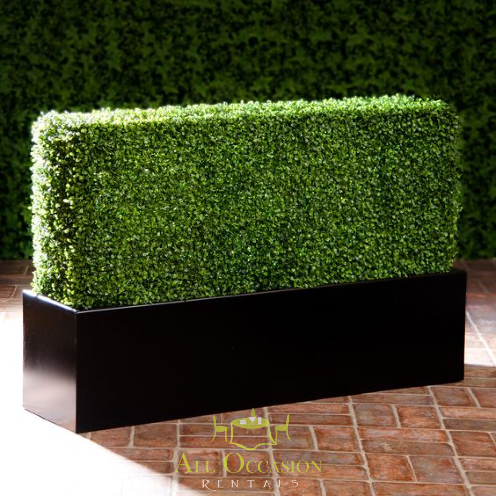 Boxwood Hedge Panels 4ft x 4ft.
