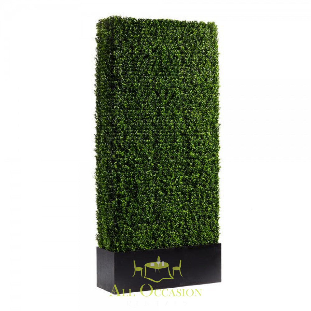 Boxwood Hedge Panels 4ft x 8ft.