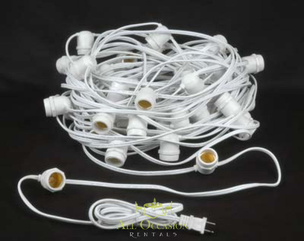 100' white string lights with 50 sockets for outdoor event rentals in Corona, ideal for parties and weddings.