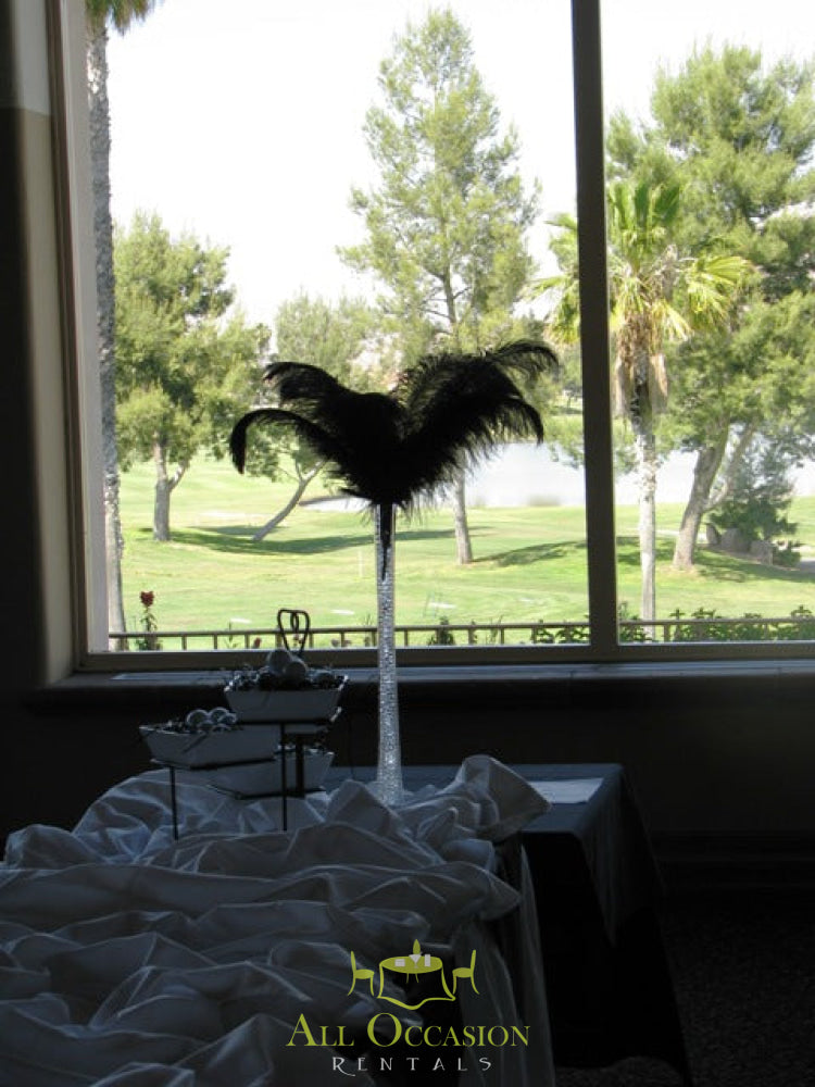 Elegant feather centerpiece in bright setting, perfect for Corona event rentals and wedding decor.