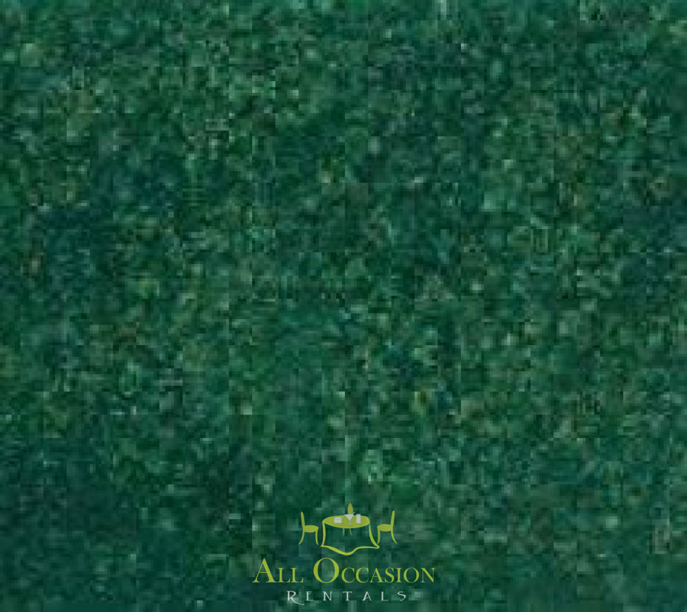 Green carpet rental for events in Corona, ideal for weddings and parties. Visit All Occasion Rentals for your event needs.