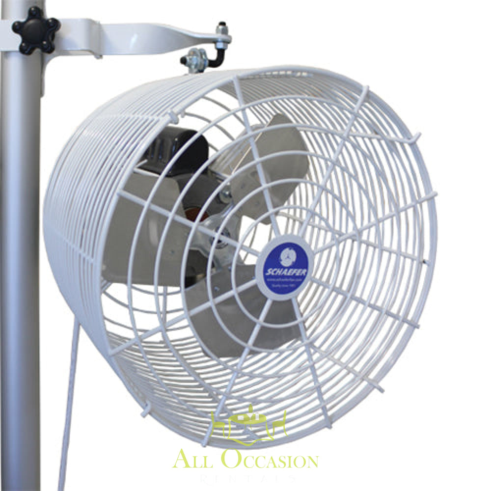 Tent Fan 12 inches white.