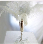 Feathers Centerpieces FCP-100